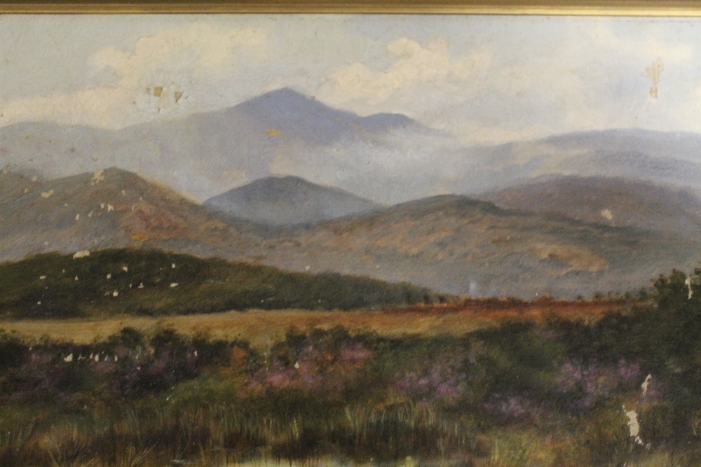 TWO OIL ON CANVAS 19TH CENTURY LANDSCAPES A/F - Image 2 of 3