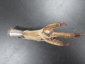 AN ANTIQUE SCOTTISH SILVER MOUNTED CLAW BROOCH