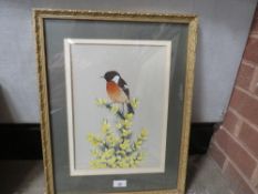 Crank - A gilt framed and glazed watercolour of a stonechat on a gorse bush