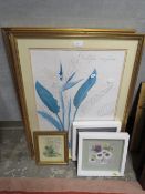 A pair of large framed botanical prints and four smaller pictures