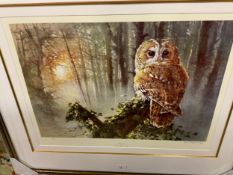 Dorothea Buxton-Hyde (b.1942). Tawny Owl, a signed limited edition print, certificate verso, 43 x 61