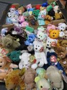 Two trays containing a collection of TY Beanies - mainly TY Beanie Bears
