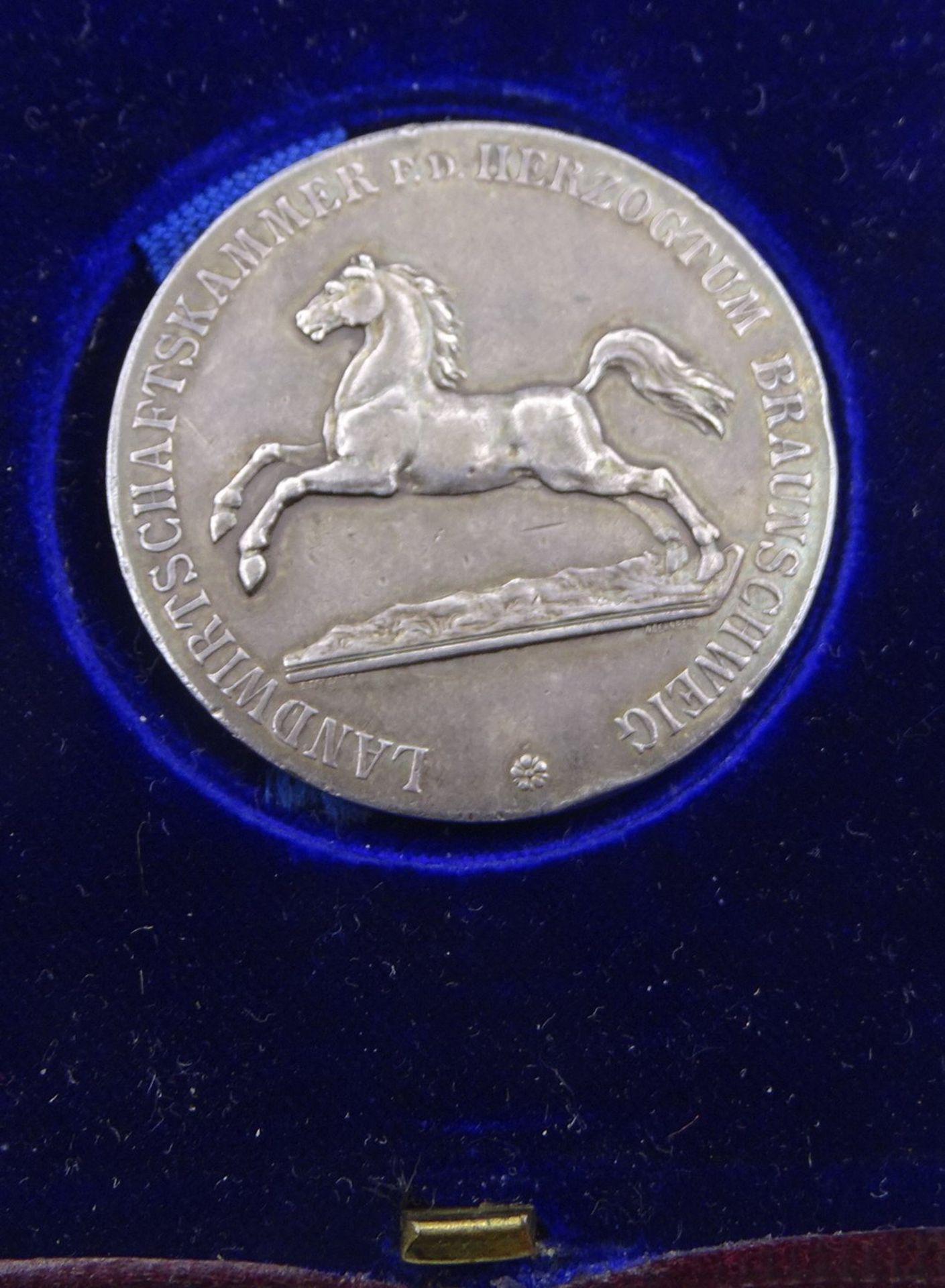 Medaille  in Etui "Für hervorragende Leistungen", Landwirtschaftskammer Herzogtum Braunschweig - Bild 2 aus 3