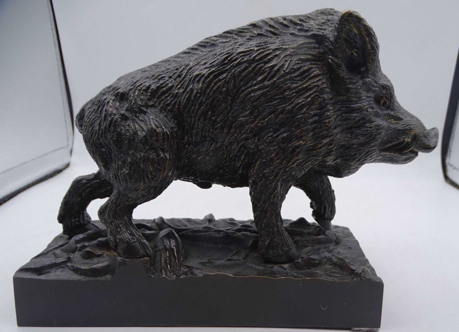 schweres Bronze Wildschwein, H-15  cm, L-16 cm, seitl.  ein Schild - Bild 4 aus 6