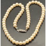 Perlenkette mit Silberschliesse, L-42 cm, D-0,5 cm