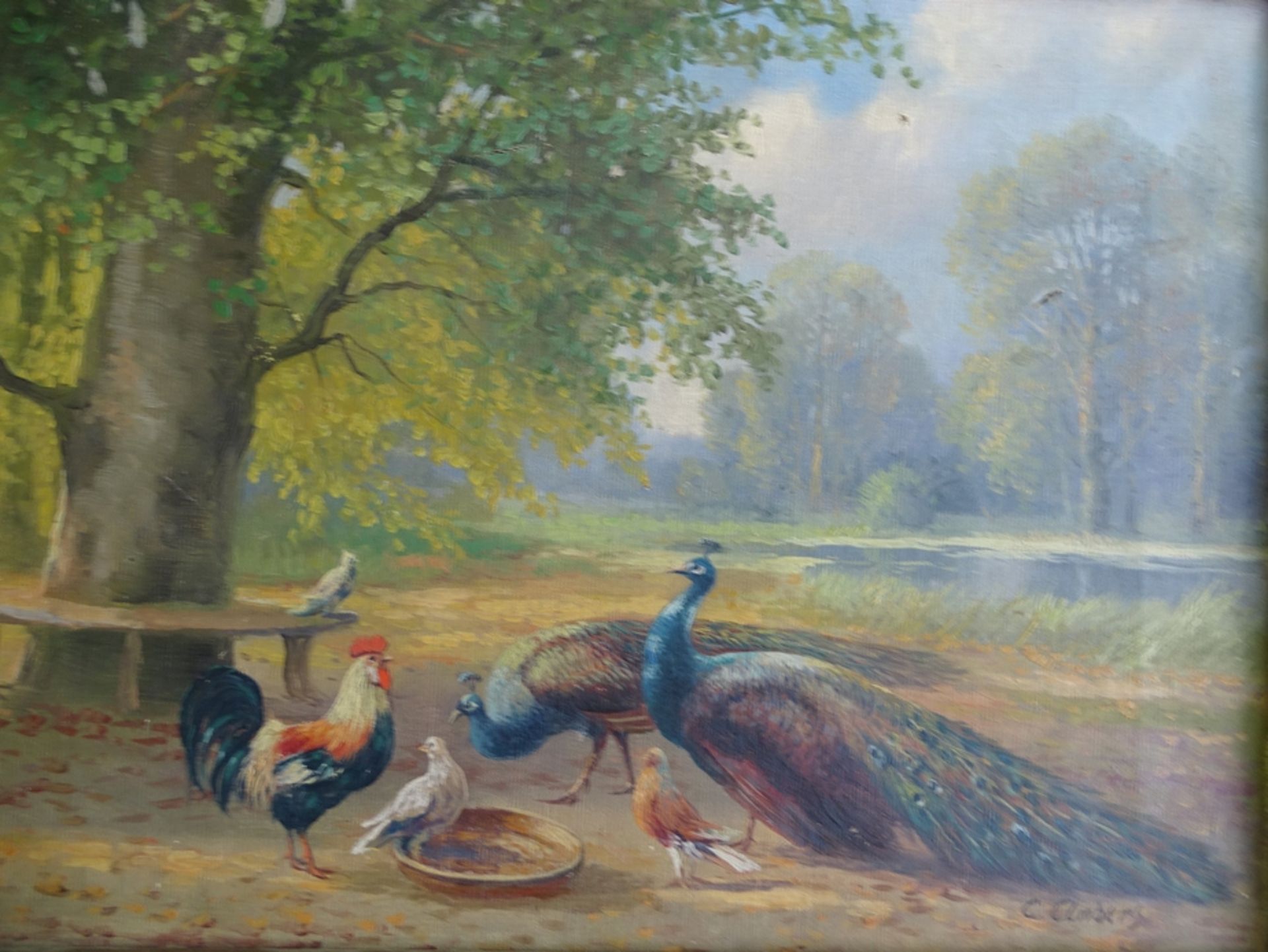 C. Anders, Geflügel, Öl/Leinen, kl. Risse, alt gerahmt,  RG 37x48 cm