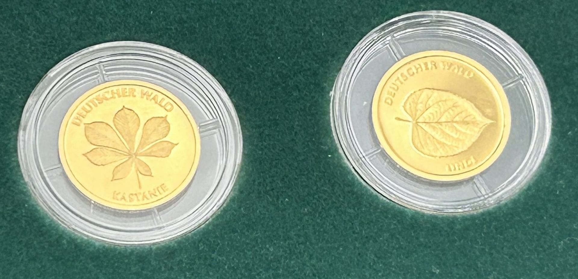 6x 20 € Goldmünzen-999-, Serie Der Deutsche Wald, mit Zertifikat, je 3,89 gramm (1/8 Unze), alle mi - Bild 5 aus 6