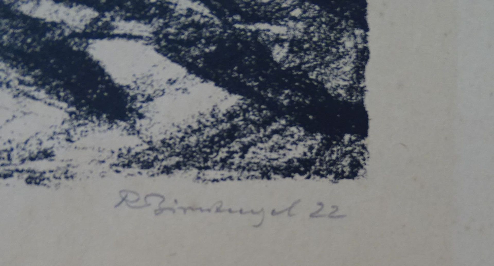 Richard BIRNSTENGEL (1881-1968) "Bergsee mit Kalkalpen" Lithografie, BG 41x48 cm - Bild 3 aus 6