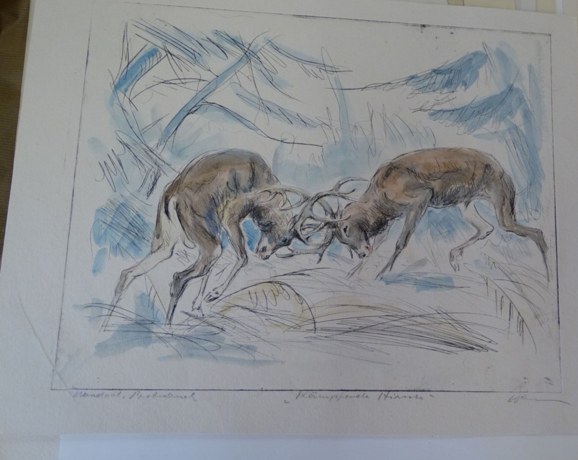 unleserl. sign. Radierung "kämpfende Hirsche", handcolorierter Probedruck, BG 29x37 cm