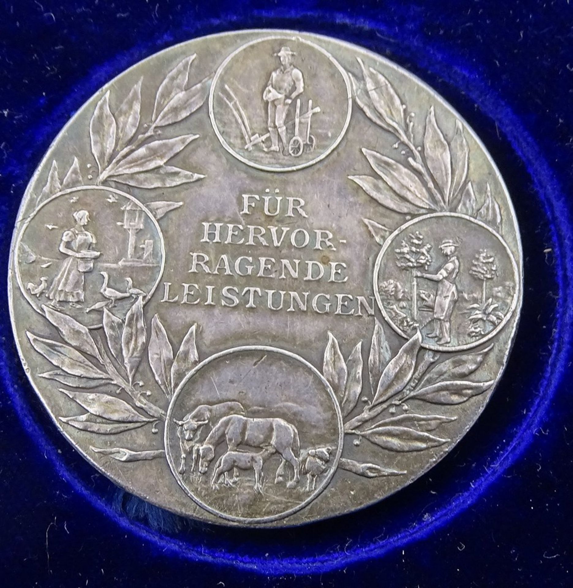 Medaille  in Etui "Für hervorragende Leistungen", Landwirtschaftskammer Herzogtum Braunschweig - Bild 3 aus 3