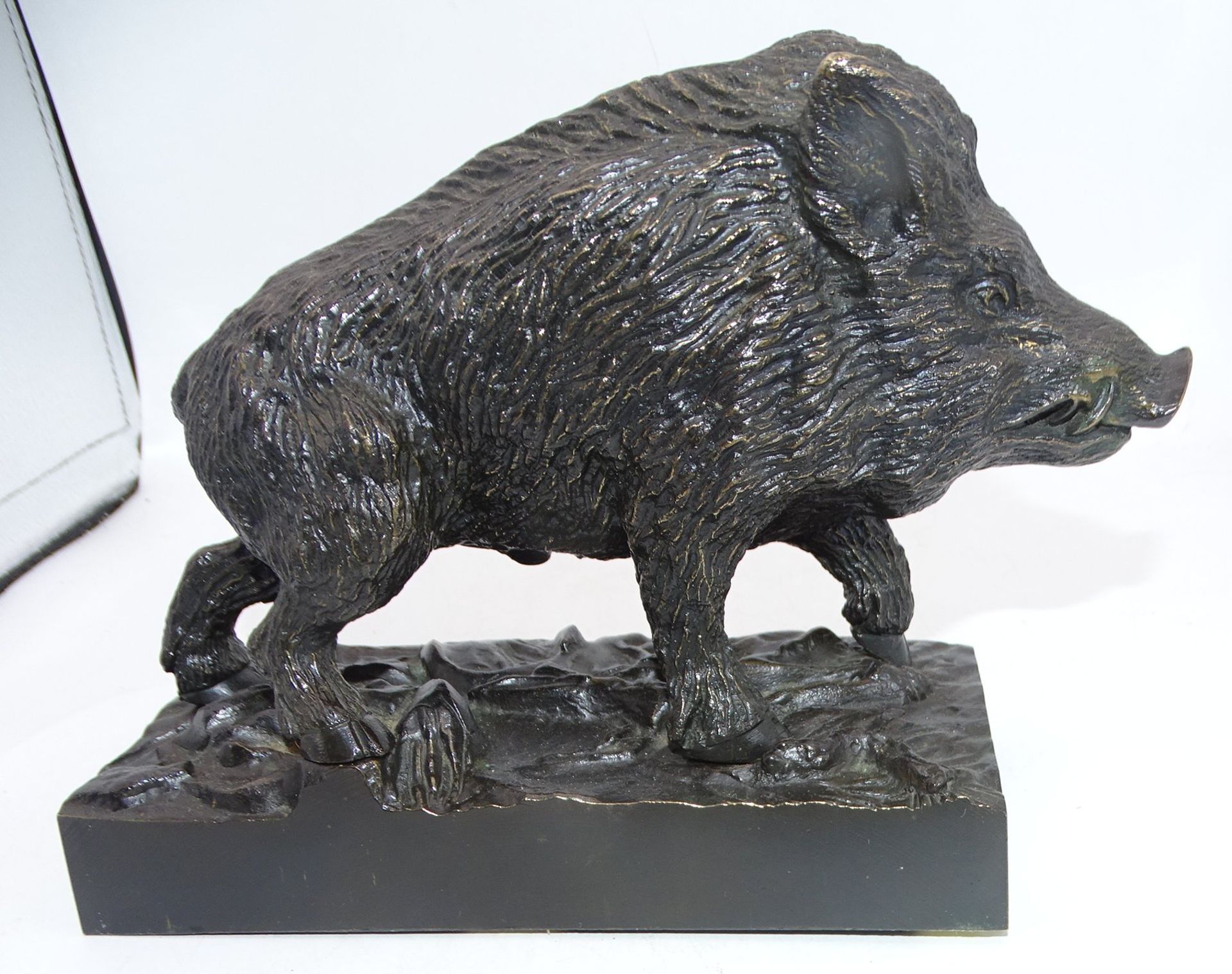 schweres Bronze Wildschwein, H-15  cm, L-16 cm, seitl.  ein Schild