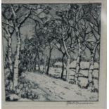 Anna FELDHUSEN (1867-1951), Birkenallee, Radierung, ger./Glas, RG 20 x 20cm.