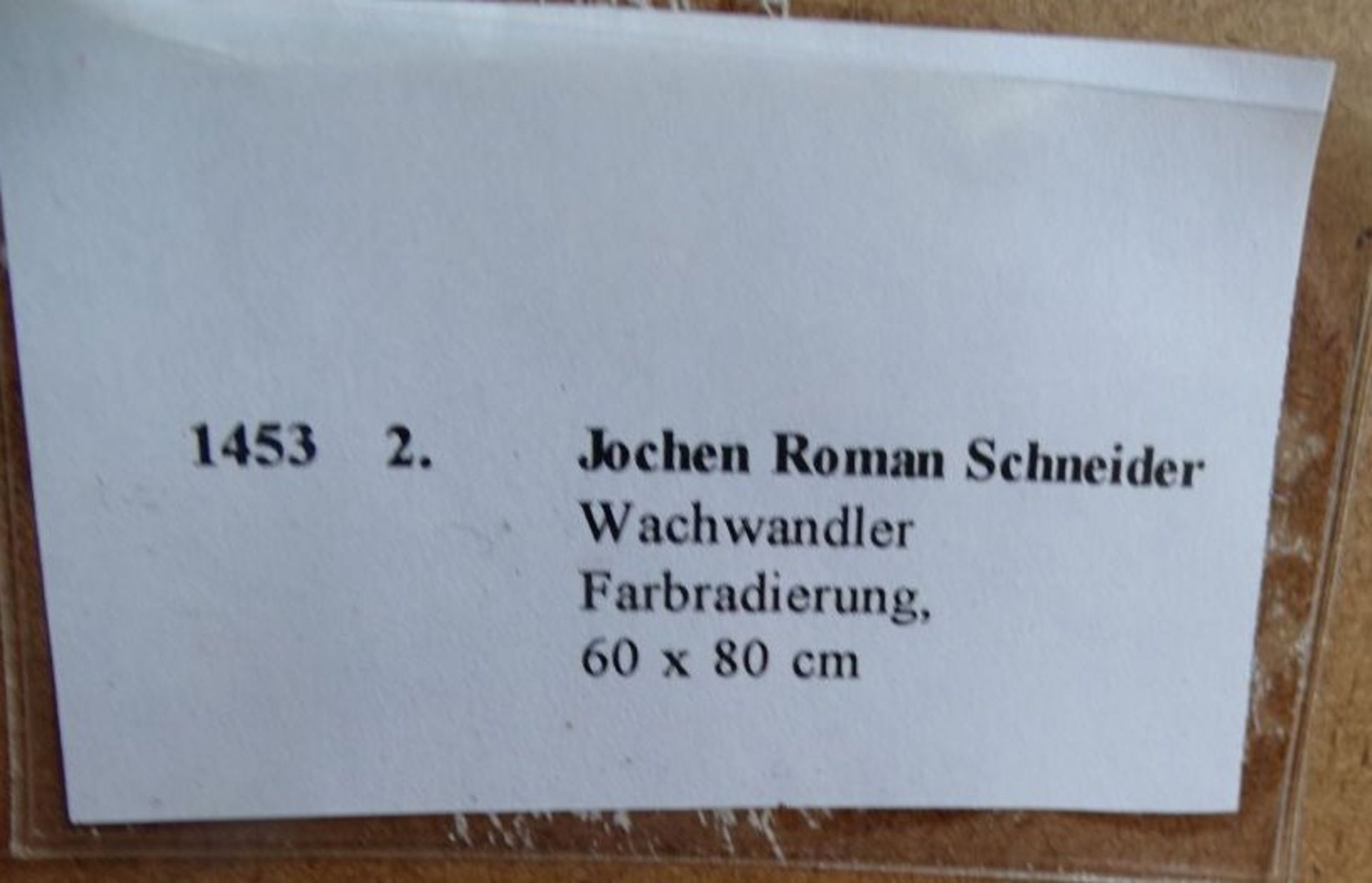 Jochem Roman SCHNEIDER (1951) "Wachwandler" Farbradierung, ger/Glas, RG 80x60m cm - Bild 9 aus 10