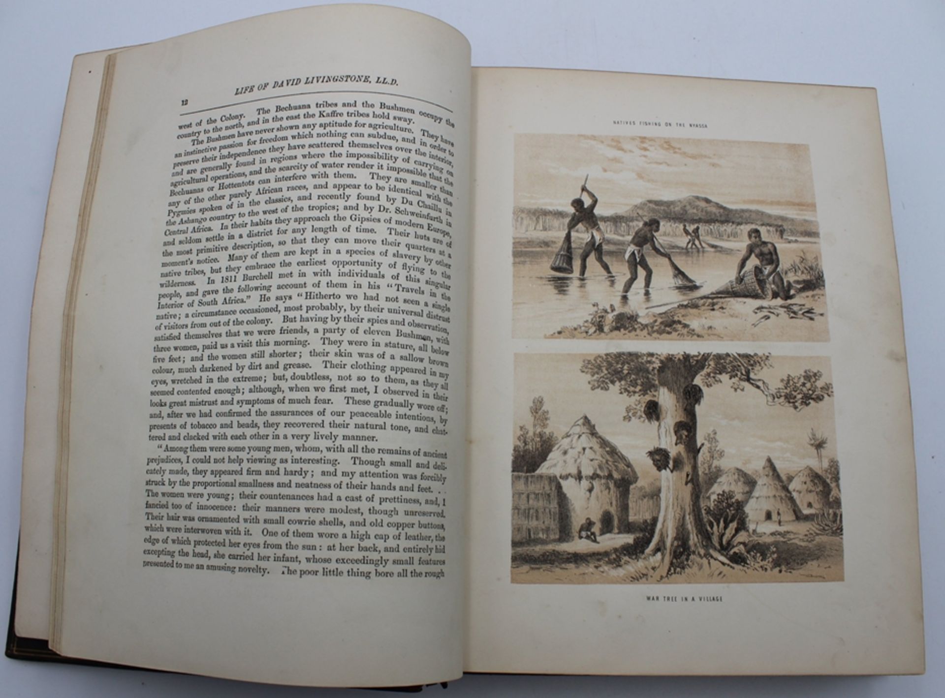 The Life and Explorations of David Livingston, um 1850, Altersspuren - Image 4 of 5