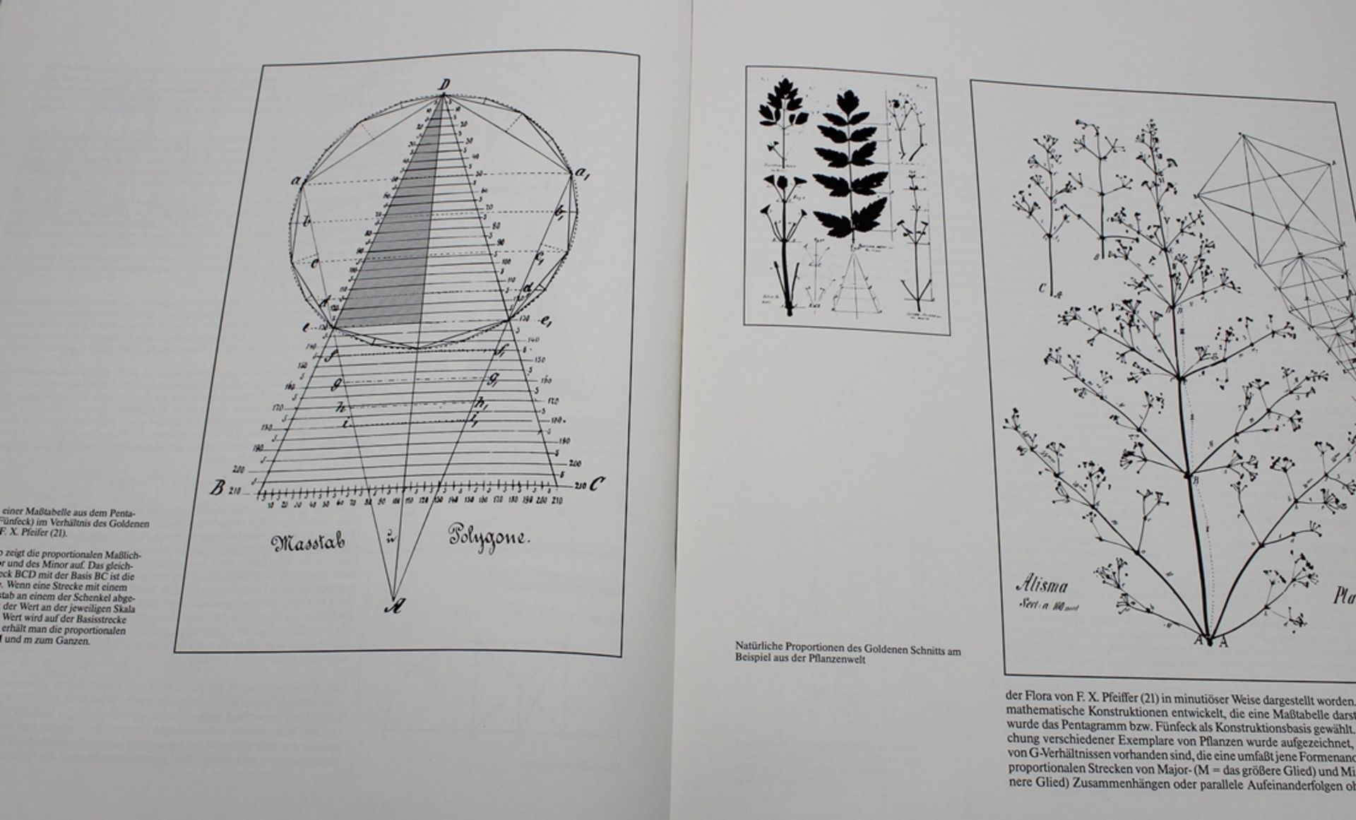 Mappenwerk, Herbert W.  Kapitzki, Proportionen, Berlin 1981, limit. Auflage Nr. 134 - Bild 4 aus 6