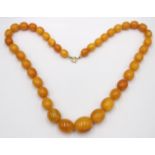 schöne Bernsteinkette, olivenförmige Steine, 72,5gr., L-66cm, Zertifikat anbei