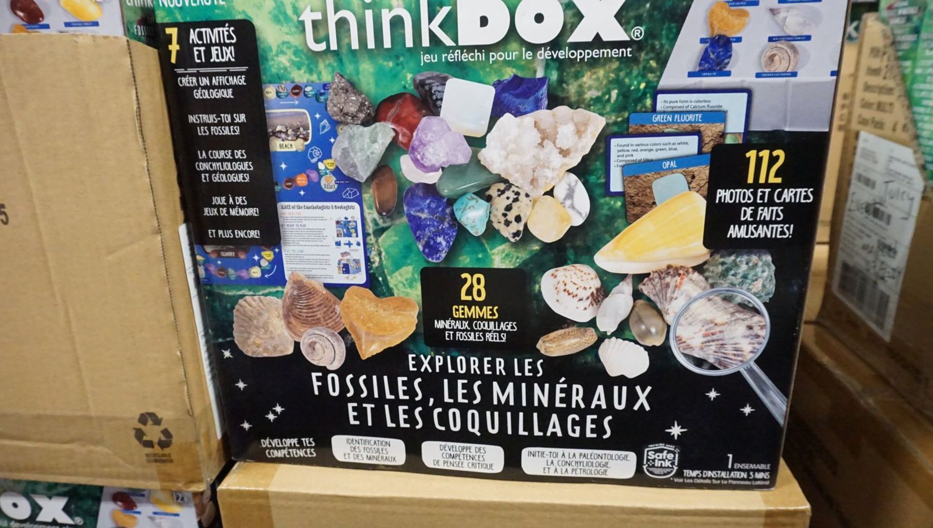 BOXES - THINKBOX EXPLORING FOSSILS, MINERALS, & SHELL SETS (4 SETS/BOX)