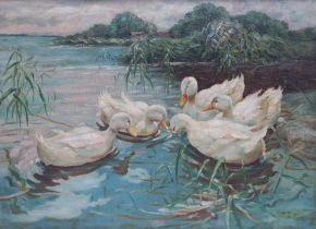 5 Enten schwimmend auf einem Teich