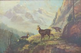 Kögler, Otto: Gamsbockrudel in den Alpen