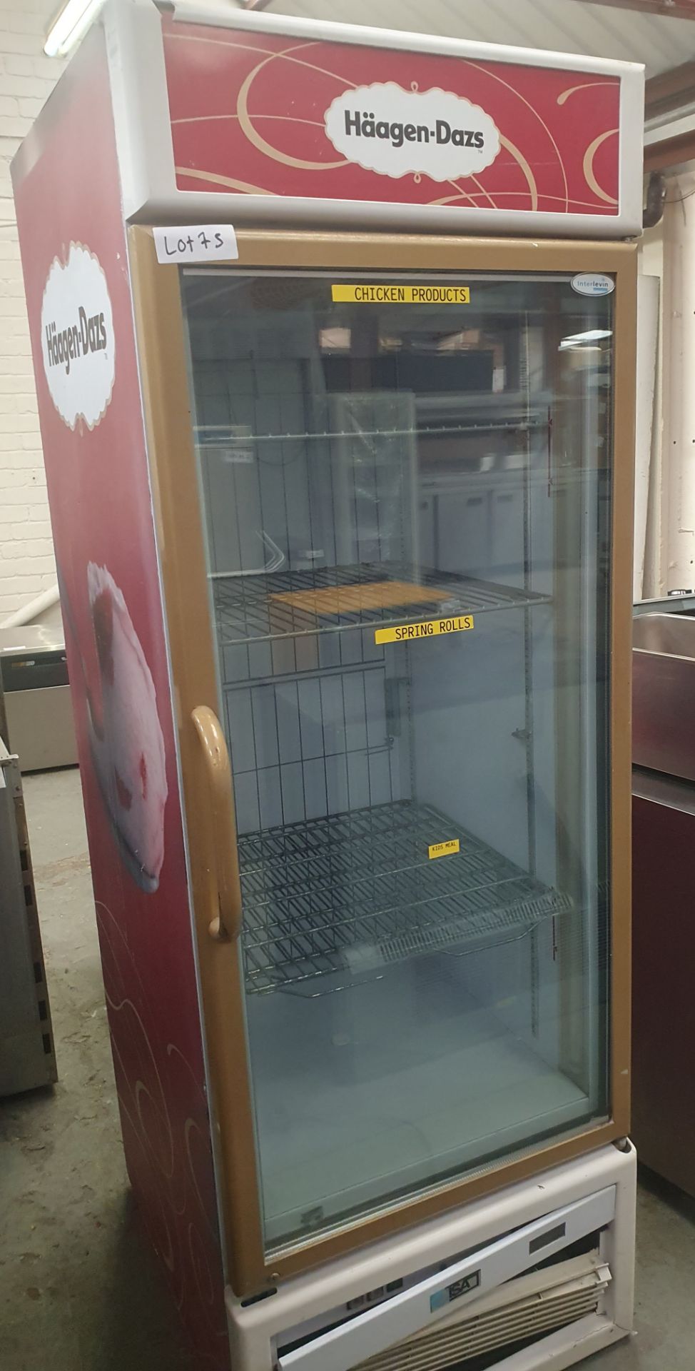 H„agen-Dazs Upright Freezer 