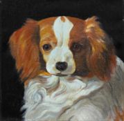 British Naive School Portrait of a Cavalier King Charles