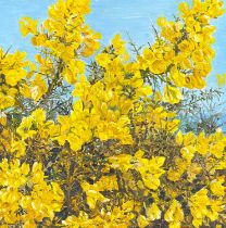 Diana PURCHAS (Contemporary, West Cornwall) Golden Spring, 2001