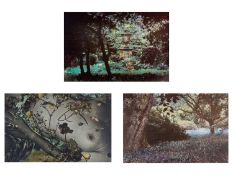 Jennifer Joan DICKSON (1936) Three limited edition lithographs, all artist proofs