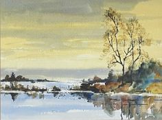 Gillian TURNER-ALDRIDGE (Royal Birmingham Society of Artists) Flooded Fields