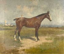 A Victorian School horse study