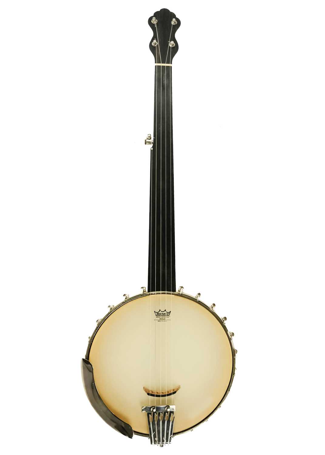 A fretless banjo.