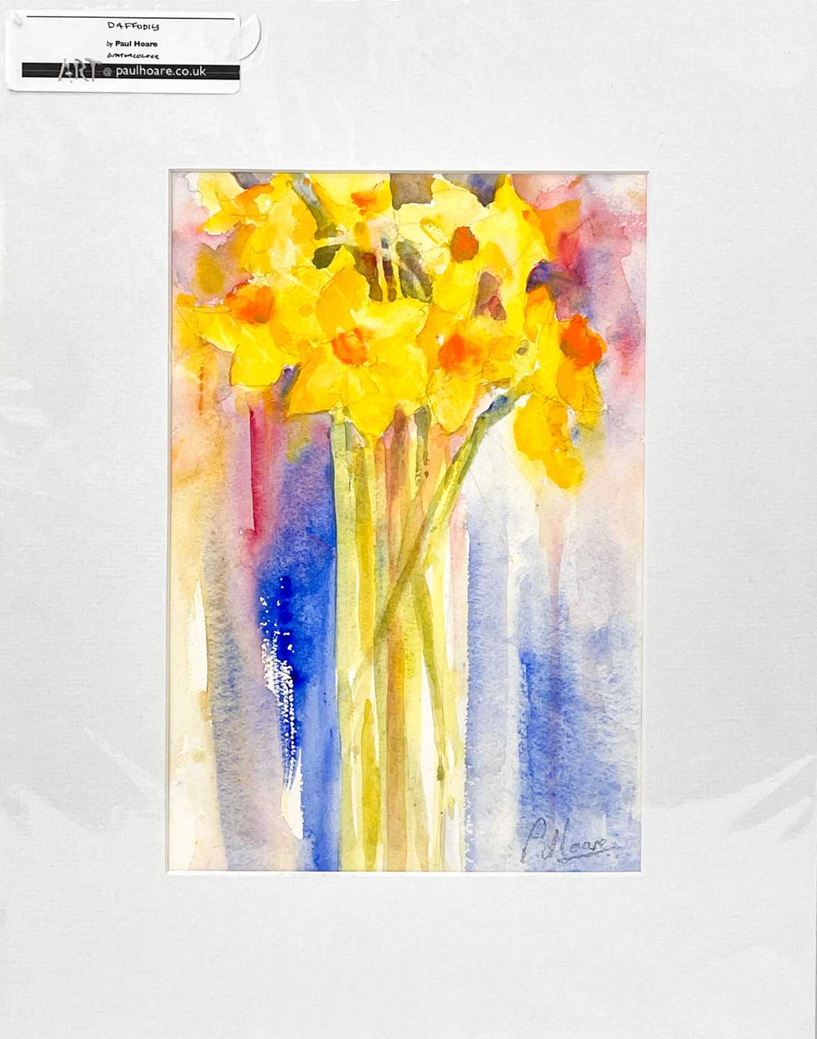 Paul HOARE (XX-XXI) Daffodils - Image 2 of 3