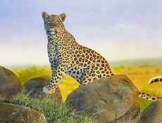 Alan WESTON (1951) Leopard On The Maasai Mara