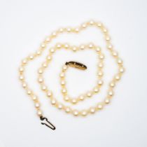 A 9ct yellow gold cultured pearl necklace