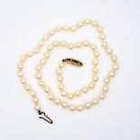 A 9ct yellow gold cultured pearl necklace