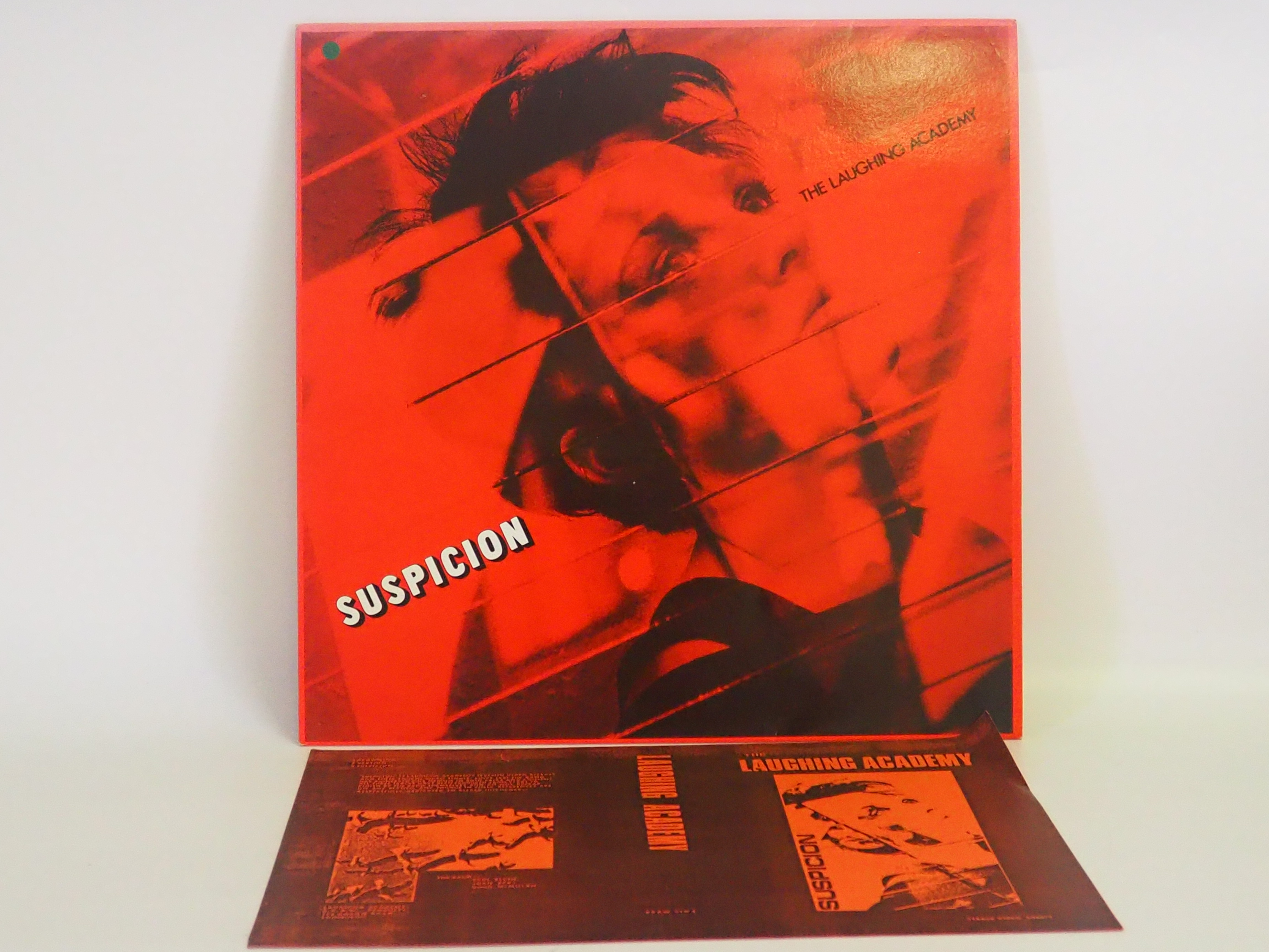 The Laughing Academy - Suspicion - 12" Vinyl Album