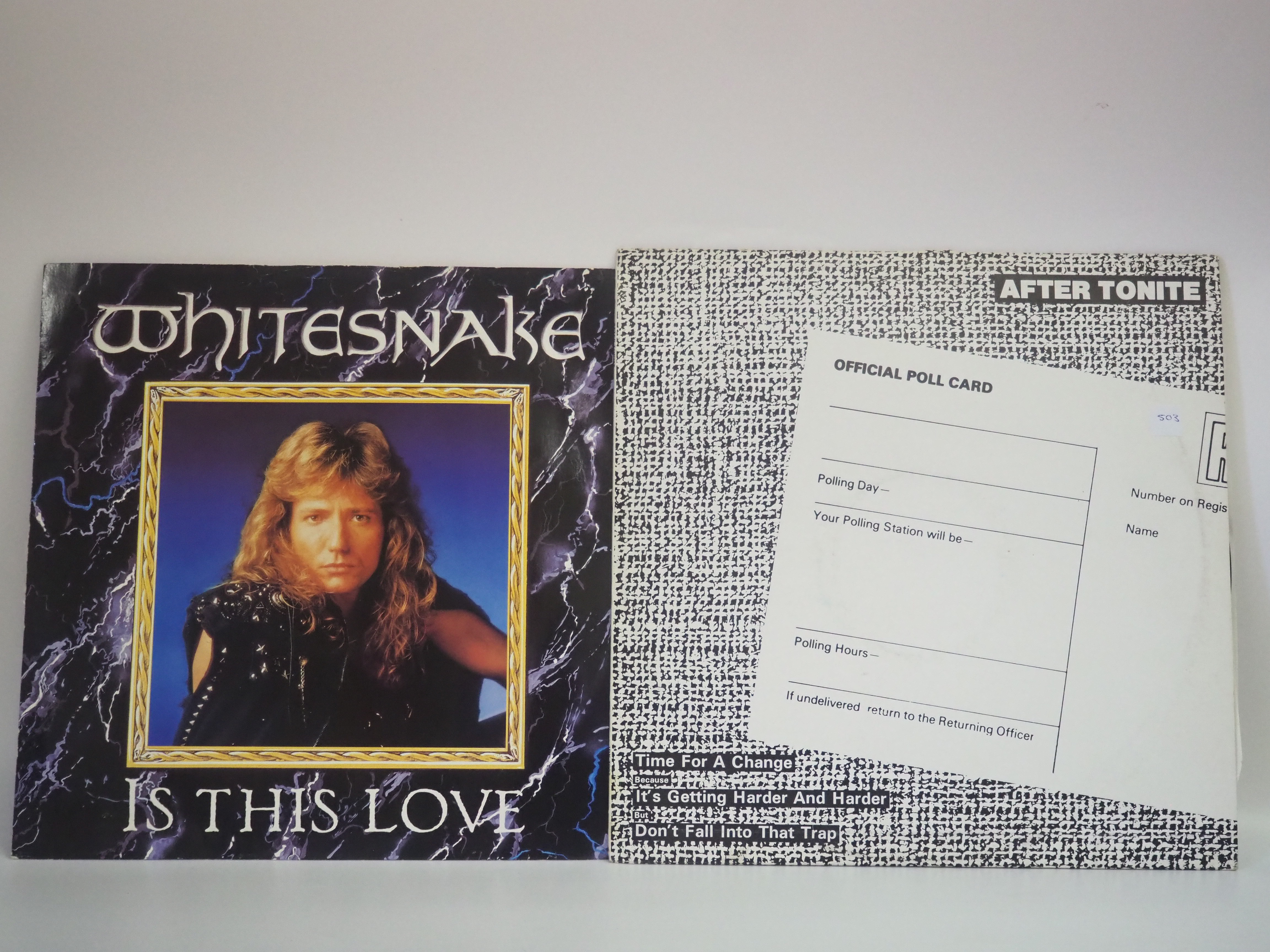 x2 12" Vinyl LPs - Whitesnake + After Tonite