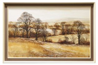 Kathleen Caddick (b. 1937), Winter moorland landscape, monogrammed, inscribed 'Nr. Ashridge'