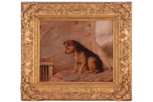 Martin Theodore Ward (1799 - 1874), 'Inquistive' - a dog looking at a drain, initialled bottom