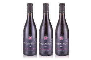 Three bottles of Domaine Gachot-Monot Chambolle Musigny, 2014 Cellar in East Sussex 2cm