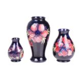 A large Moorcroft baluster vase in the Anenome pattern, tube-lined decoration on a dark blue ground,