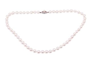 A single-strand cultured pearl necklace, with uniform-size pearls measuring approximately 7.8mm