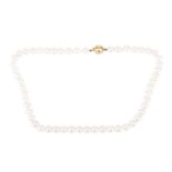A cultured pearl necklace with diamond-set clasp, comprising a row of unified round cultured pearls,