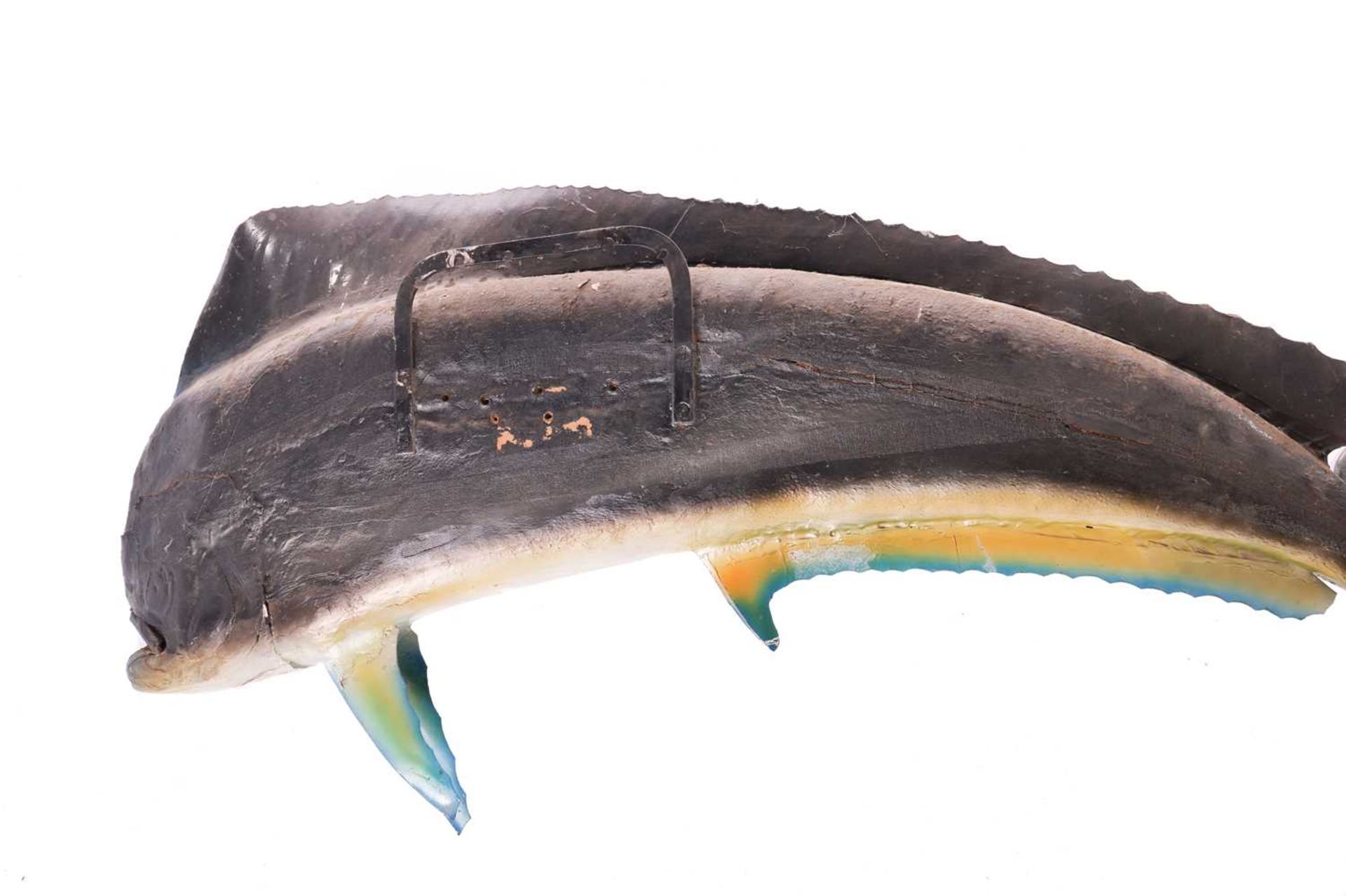 Taxidermy: a large, professionally worked Dorado, with wall fixing bracket verso, 144 cm wide x 55 c - Image 4 of 4