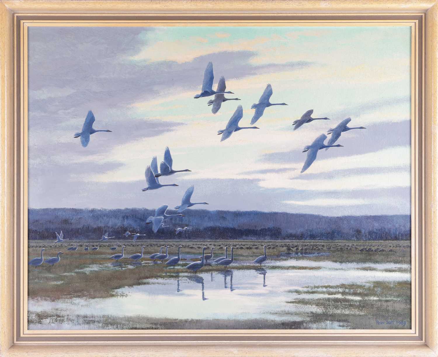 Peter Scott (1909 - 1989), Whooper swans over Marshes, signed and dated 'Peter Scott 1969' (lower ri - Image 2 of 10