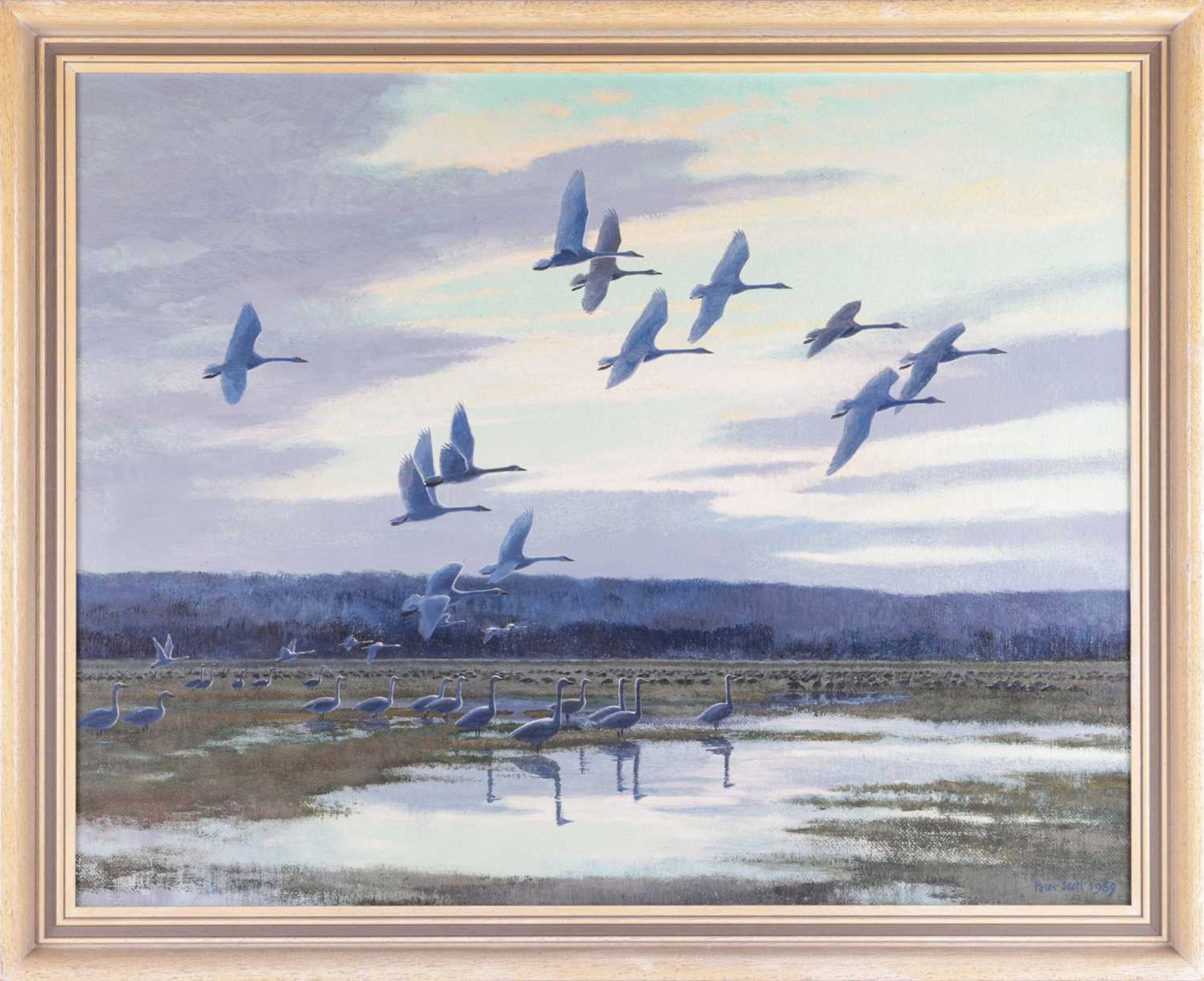 Peter Scott (1909 - 1989), Whooper swans over Marshes, signed and dated 'Peter Scott 1969' (lower ri - Bild 2 aus 10