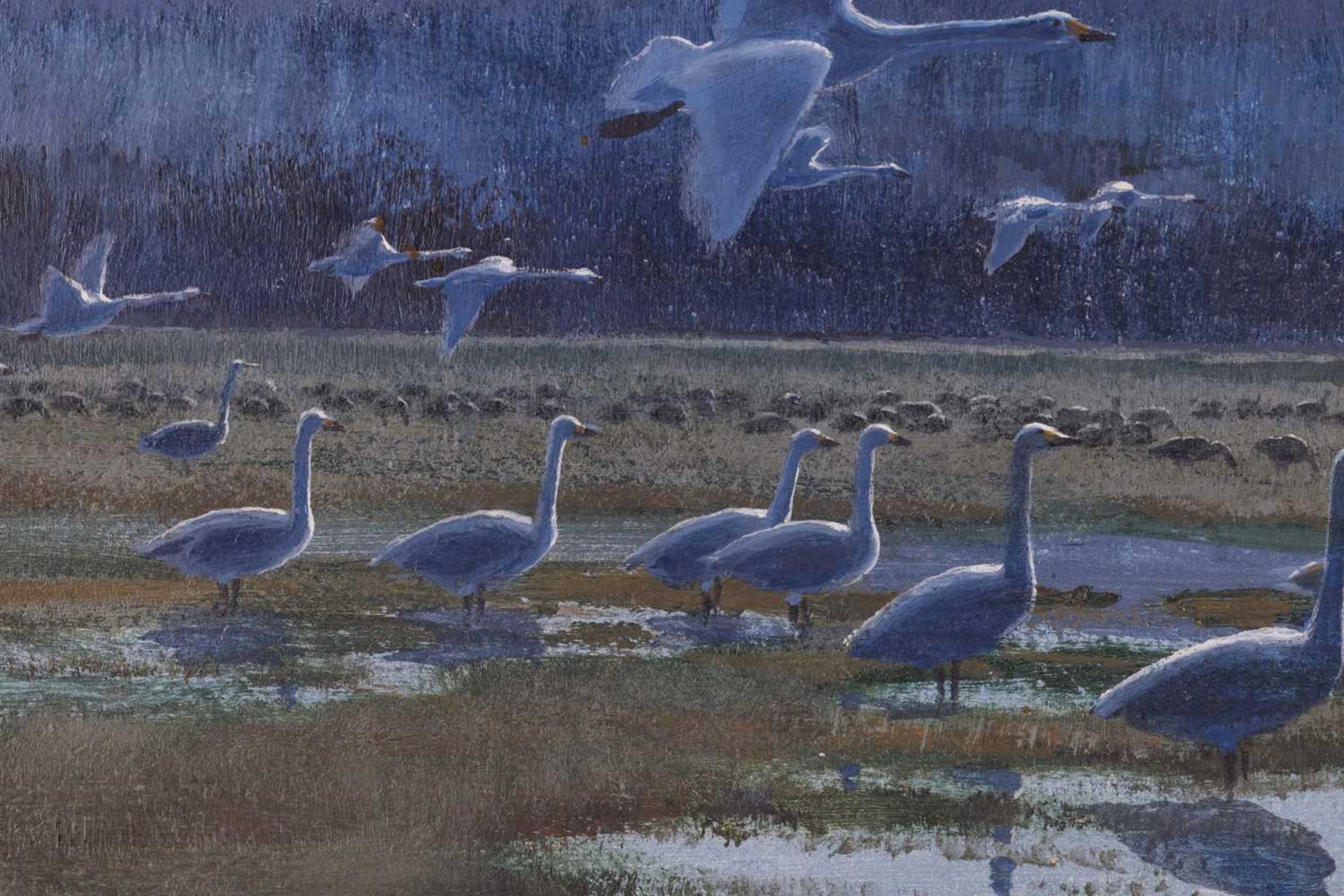 Peter Scott (1909 - 1989), Whooper swans over Marshes, signed and dated 'Peter Scott 1969' (lower ri - Image 9 of 10