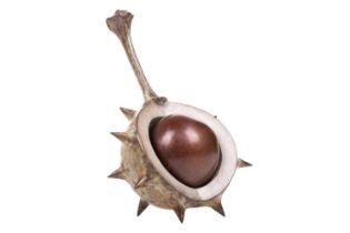 Mark Hall (b.1970), 'Self Harm' (Popping Out), bronze study of a conker in a half-opened casing,