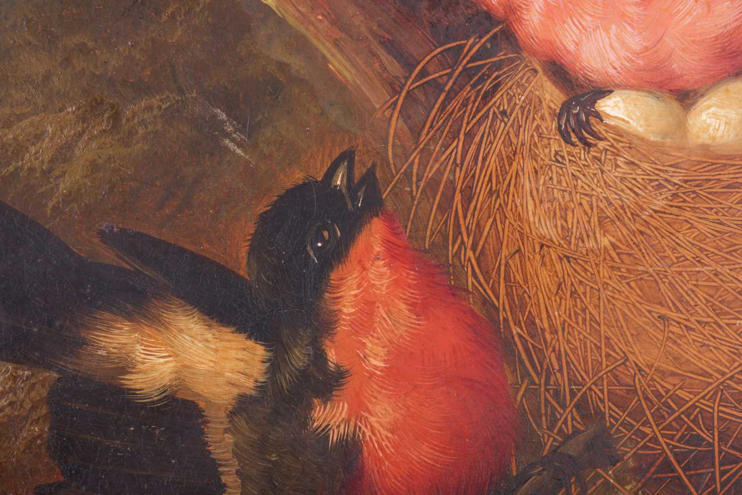 Michelangelo Meucci (Italian, 1840 - 1909), Nesting Bullfinches, signed 'M. Meucci' (lower left), in - Image 2 of 4