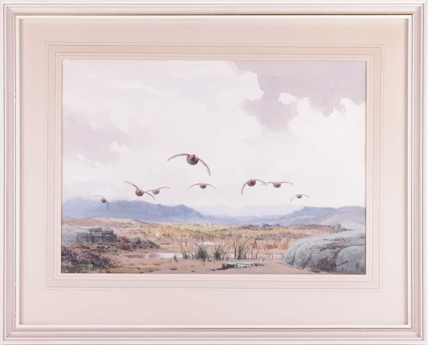 John Cyril Harrison (1898-1985), Red Grouse flying over marshlands, signed 'J. C. Harrison' (lower r - Image 2 of 9