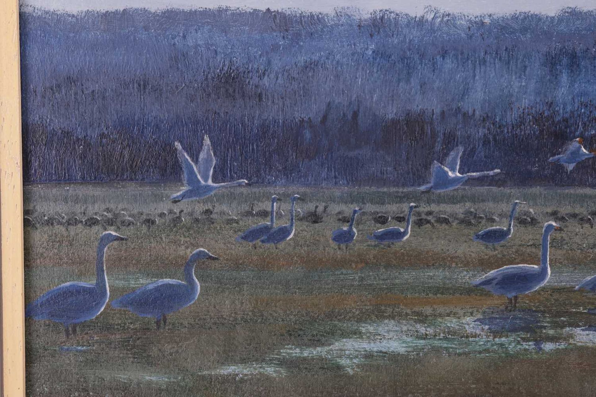 Peter Scott (1909 - 1989), Whooper swans over Marshes, signed and dated 'Peter Scott 1969' (lower ri - Image 7 of 10